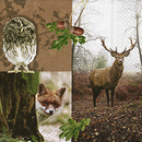 FRITZMANN - Zelltuchservietten - Jagd