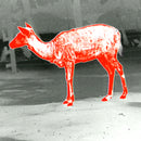 PARD - Wärmebild-Monokular TA32 LRF - 25 mm Objektiv