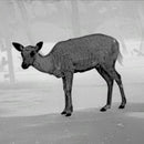 PARD - Wärmebild-Monokular TA32 LRF - 25 mm Objektiv
