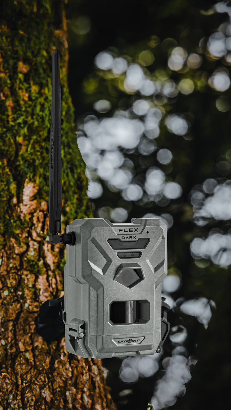 SPYPOINT - Wildkamera Flex-Dark Doppelpack