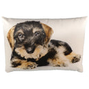 Kissen mit Dackel 50x35
