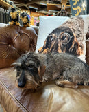 Kissen mit Dackel 50x35