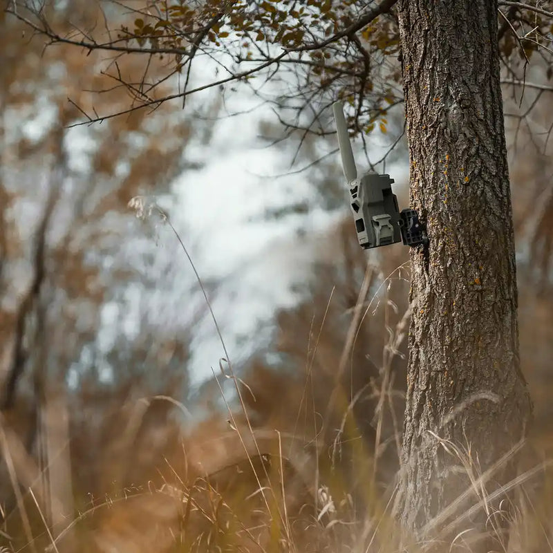 SPYPOINT - Baumstativ für alle SPYPOINT Wildkameras