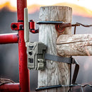 SPYPOINT - Wildkamera Flex M - Twin Pack