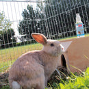 BALLISTOL - Stichfrei® Anti-Mückenschutz für Tiere - 100 ml