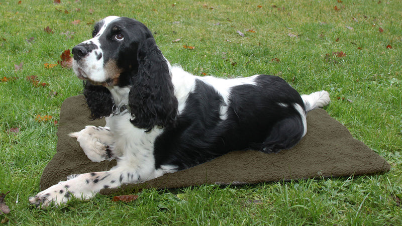 SHOOTERKING - Hunde Thermobett