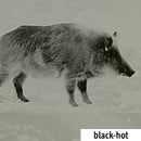 LAHOUX OPTICS - Nachtsichtgerät DigiClip